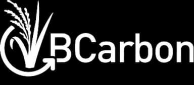 BCarbon